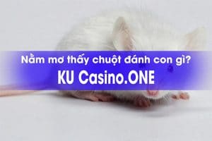 Mơ thấy chuột đánh con gì?