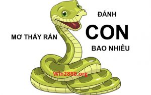 Mơ thấy rắn đánh con gì