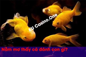 Nằm mơ thấy cá đánh con gì?